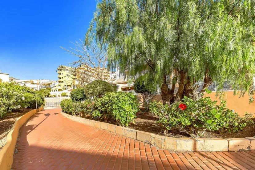 Tenerifeopenhome Costa Adeje Comfort Apartment 3 Pools Exterior photo
